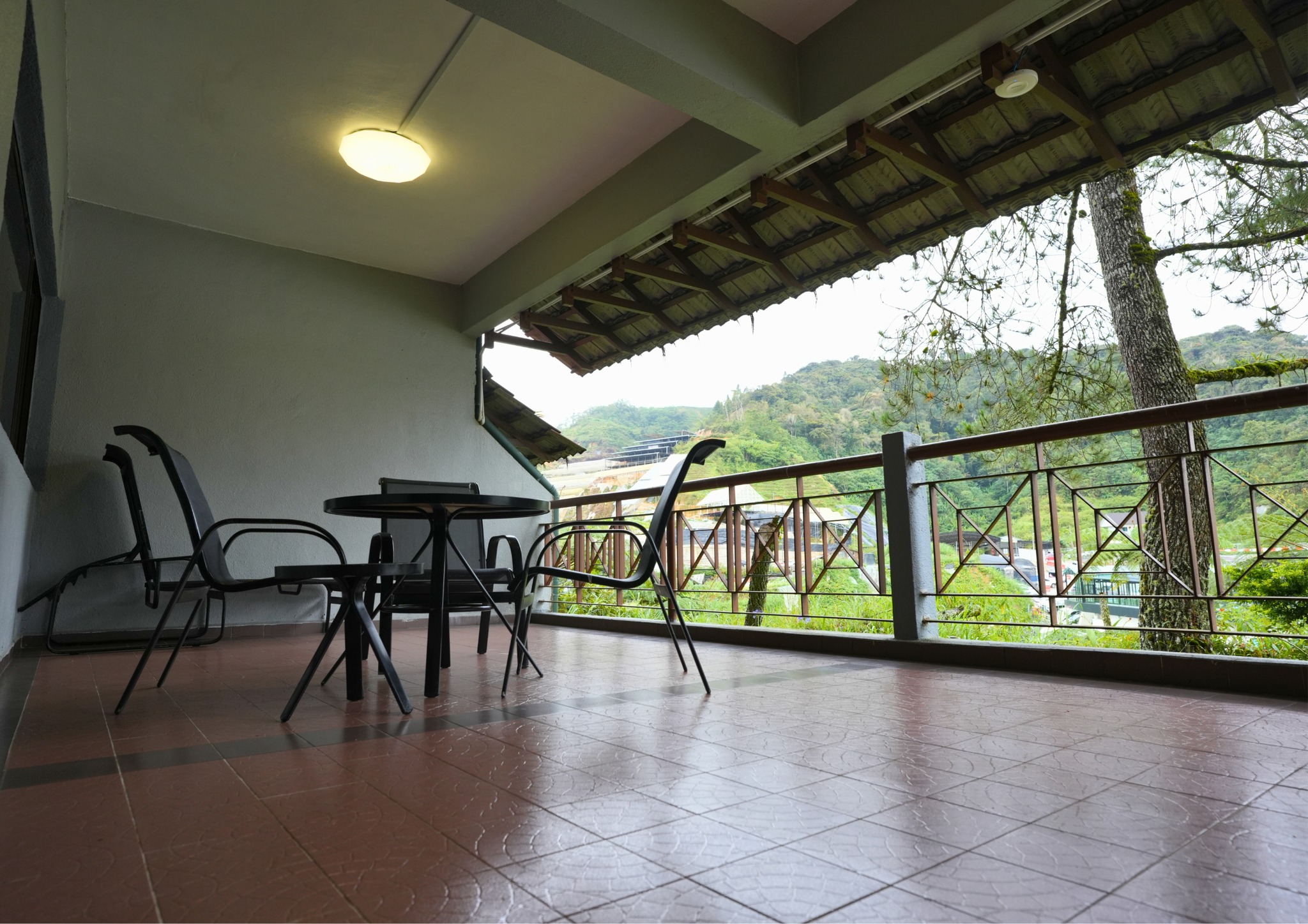 Homestay Business at Cameron Highlands