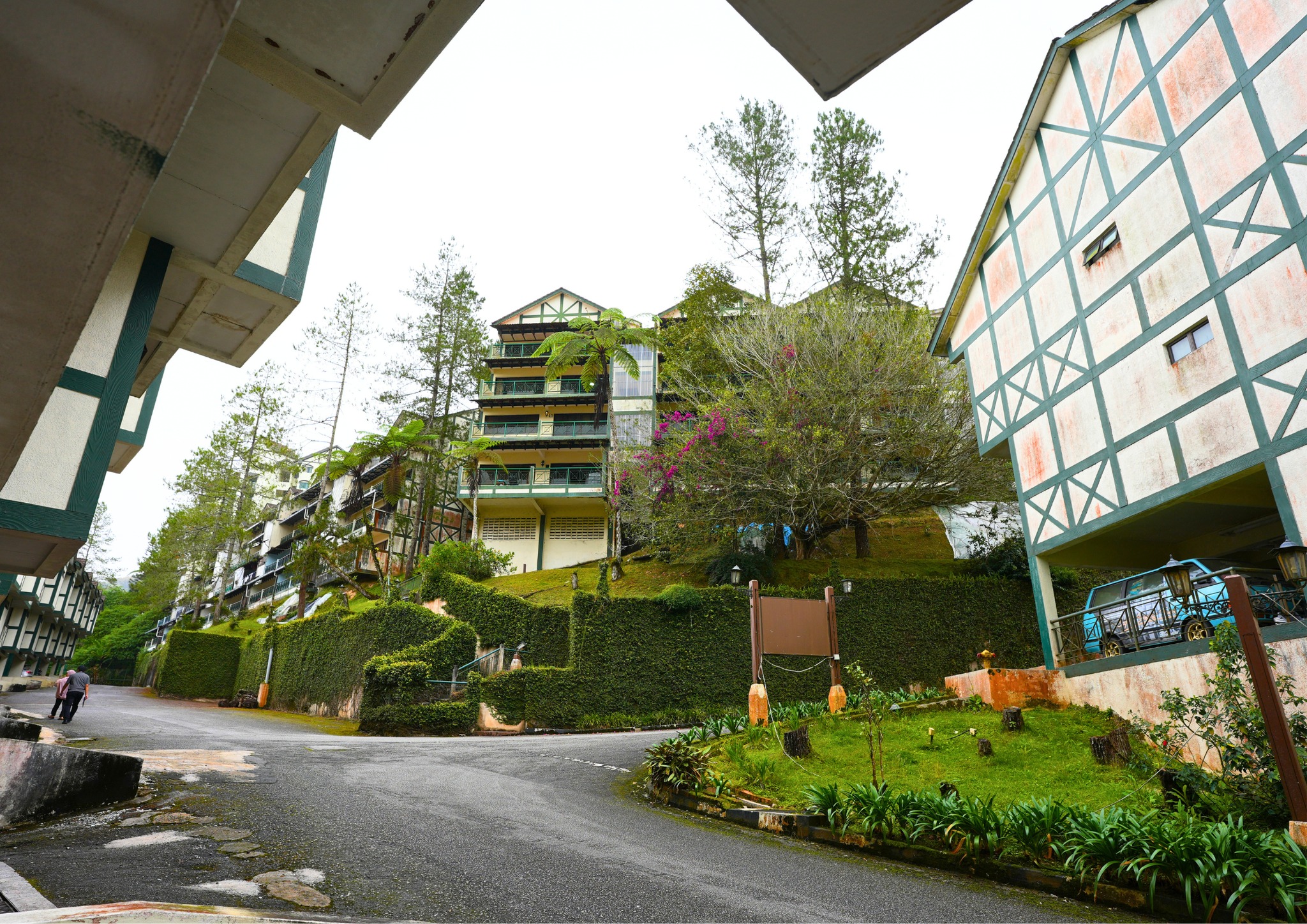 Home-Stay-Business-for-Sale-in-Cameroon-Highlands